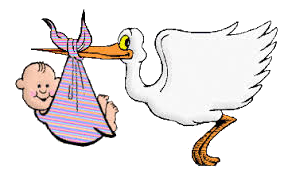 naissance cigogne