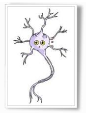 neurone